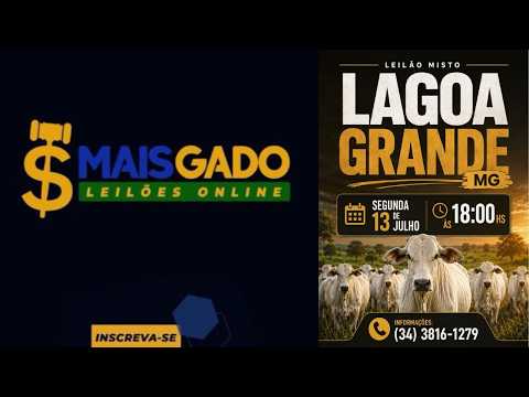 🐂🐄🐃 LEILÃO MISTO DE BOVINOS -13-07-2026 LAGOA GRANDE/MG - MAIS GADO LEILÕES 🐂🐄🐃