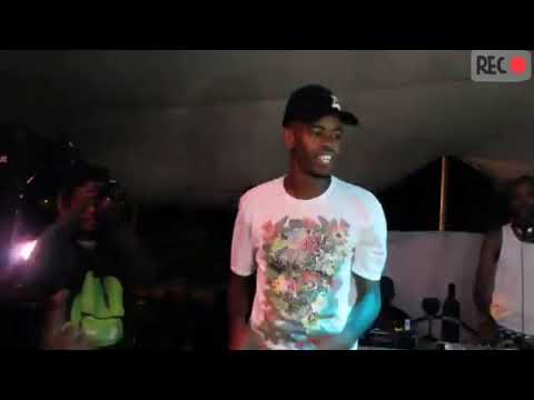 TALLARSETEE & GIPLA SPIN