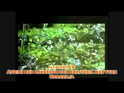 Ç'është Sadakaja? / Hadithi 26
