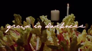 GROWN IN DARKNESS Trailer | VIFF 2022