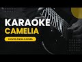 CAMELIA VIDEO COVER KARAOKE
