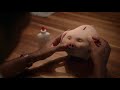 Santander Piggy By Daniel Kleinman