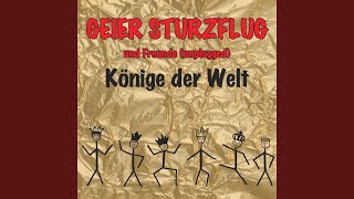 ich sag nicht gern auf wiedersehen (unplugged)