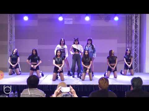 BUSABA dance cover BLACKPINK