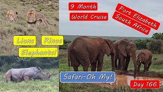 Port Elizabeth South Africa Game Drive – Lions, Rinos, Elephants Oh My!