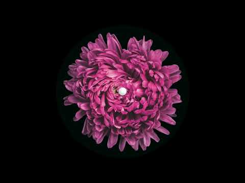 Ling Ling Vs. Velox - Pyrodynamik - MTPL03 - Multiplan 03