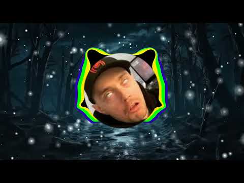 SŁOŃ WSRH CYCE KURWA REMIX OFICJALNY