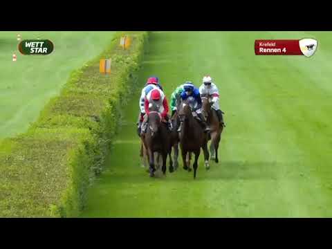 Maigret - Lukas Delozier - Dr. Busch Memorial - Krefeld