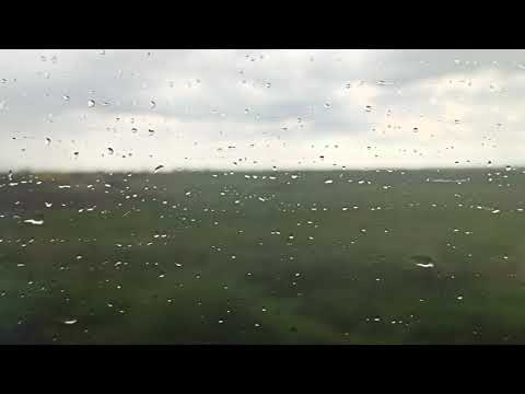 mlodygringo - nikolatesla (prod. Jacaprodakszyn)