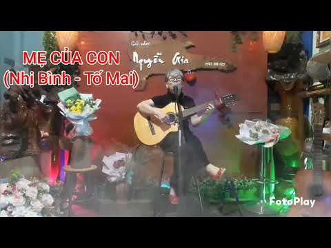 Mẹ của con - Tố Mai