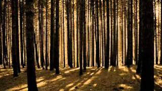 In Flames - Moonshield Music Video