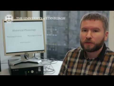 Dr Patrick Honeybone: Research in a Nutshell