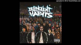 05 I&#39;m Addicted l Delinquent Habits l Self Titled