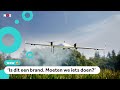 Deze drone gaat helpen bij bosbranden in Nederland