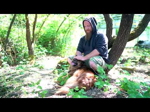 Jonas Gampe - Permakultur ist mehr als Selbstversorgung