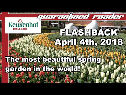 Flashback to Keukenhof, Holland: the most beautiful spring garden In the world (April 4th, 2018)