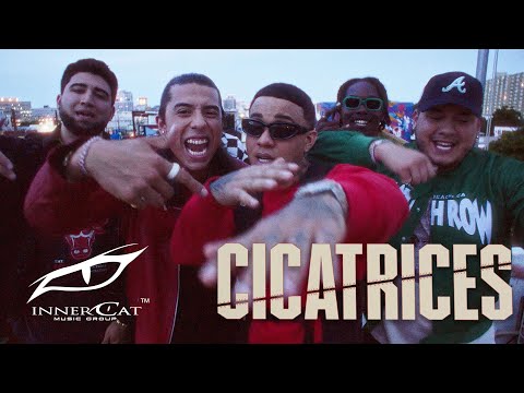Miniatura de Cicatrices