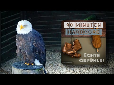 Podcast I 90 Minuten Hardcore - Echte Gefühle I NMH - Episode 7 - "Adlerherz"