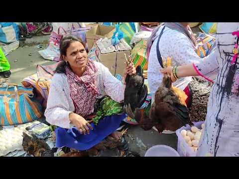 download lagu mp3 mp4 Desi Chicken Rate In Mumbai, download lagu Desi Chicken Rate In Mumbai gratis, unduh video klip Desi Chicken Rate In Mumbai