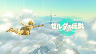 次は何をしようか【ゼルダの伝説 ティアーズオブキングダム】#8