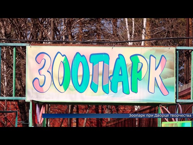 Кому карантин на пользу?