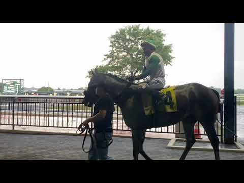 Frankie Pennington & Shanghai Superfly win at Parx Racing on 7/6/2020