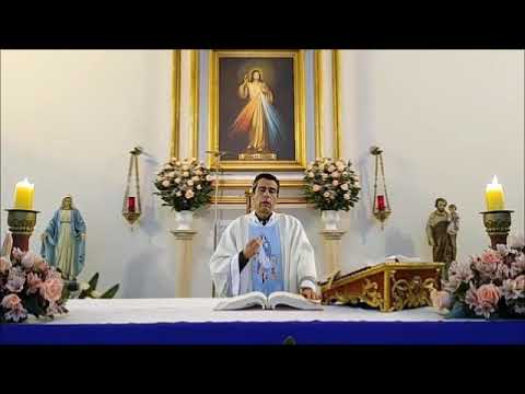 Homilía 12/10/21 - Nuestra Señora del Pilar - Lucas 11, 37-41 - Contra los fariseos y legistas.