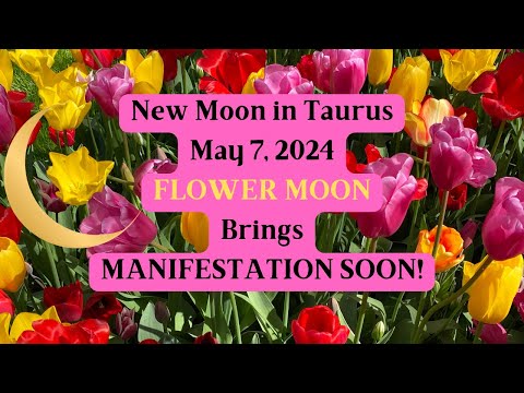 New Moon in Taurus May 7, 2024 🪻FLOWER MOON BRINGS MANIFESTATION SOON! 🌸🌺🌻🌼🪷🪻(Astrology Forecast)