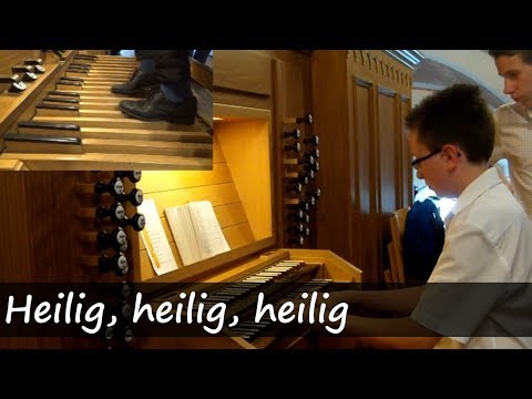 GL 772 (Österreich): Heilig, heilig, heilig (mit Prinzipal 8')