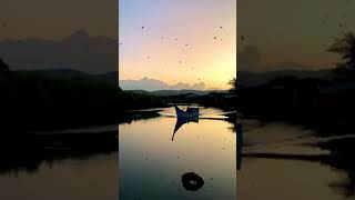 Download lagu Symphony yang Indah - Once Mekel | #shorts mp3