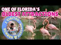 Sunken Gardens A Classic Florida Attraction