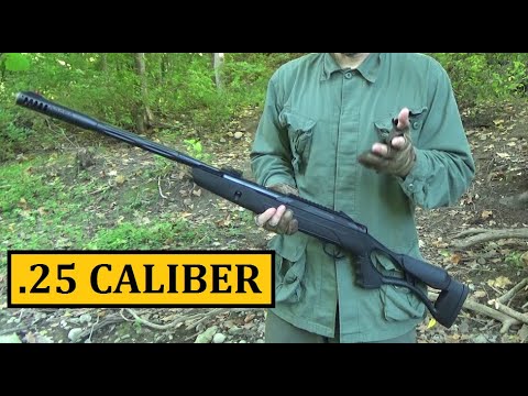 Hatsan AirTact .25 Caliber Pellet Rifle ($125) Review - Budget Friendly Air Gun Series