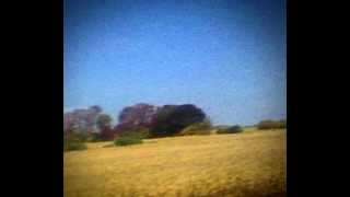 Sun Kil Moon - I Can&#39;t Live Without My Mothers Love