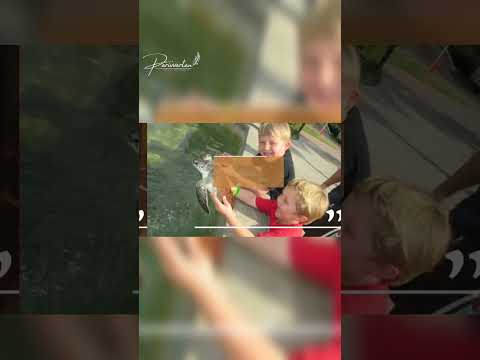 Annie George (Edinburgh) achieves Family, Spirituality & Self transformation goal #shorts #couples