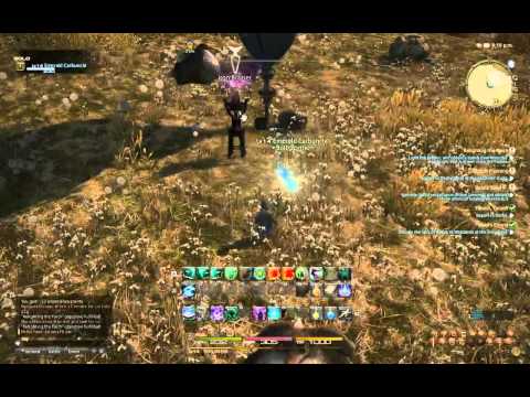 Final Fantasy XIV: Arcanist Levels 13-15, Cook 1-5 - 2 / 9
