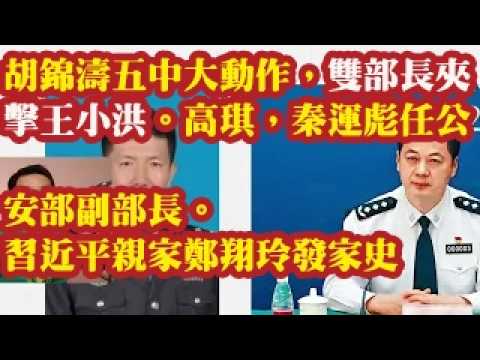 胡锦涛五中大动作，双部长夹击王小洪。高琪，秦运彪任公安部副部长。习近平亲家郑翔玲发家史 2026-09-10 07:20