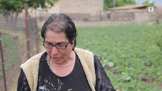 Մեկ պատուհան. Ճանապարհը փակ է