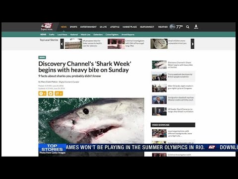 Discovery Channel's 'Shark Week' begins with heavy bite on Sunday