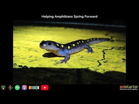 Citizen Science Podcast: Helping Amphibians Spring Forward (aired on 2023-03-27)