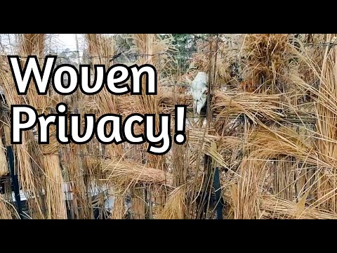 Homestead Privacy: Hide Your Scene, Protect Your Grow
