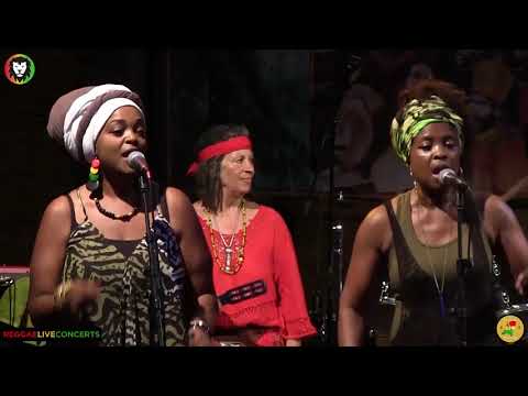 Rootman J & The Zionyouth Crew - LIVE COMPILATION 2019