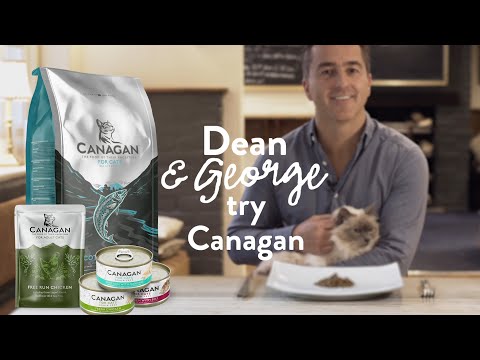 Dean & George Try Canagan Cat Food