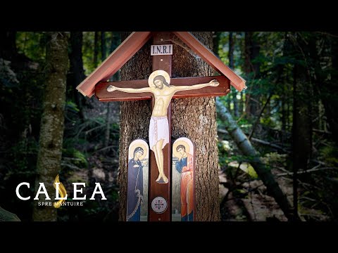 🔵 DESPRE PATIMI ȘI VIRTUȚI - Pr. CHIRIL | STAREȚUL MĂNĂSTIRII PARVA DIN BISTRIȚA