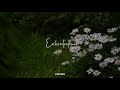 Idhayam Idhayam Erikintrathae Violin Cover Whatsapp Status