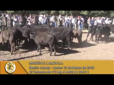 15-03-18 Venta de Machos - Martin G. Lalor S.A. - Benito Juarez.