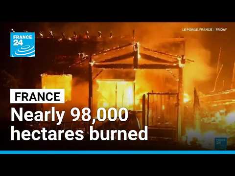 Nearly 98,000 hectares burned in France, a 'historic record' says government