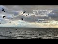 Excerpts from the book "Jonathan Livingston Seagull"