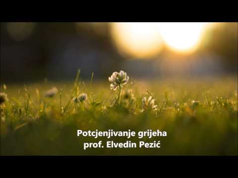 Potcjenjivanje grijeha - prof. Elvedin Pezić