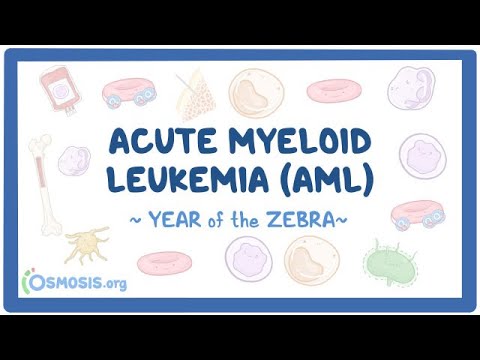 Acute myeloid leukemia (AML) (Year of the Zebra 2026)