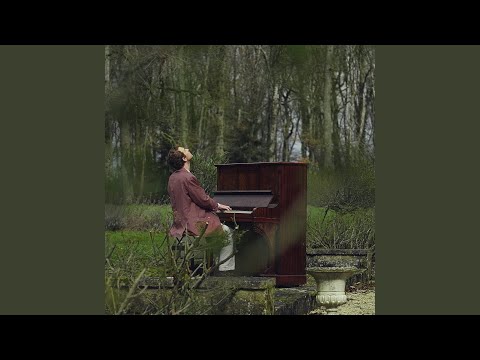 Les Cerfs-Volants - Thibaut Pez